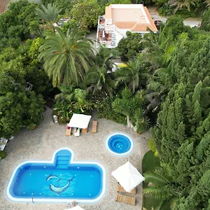 book here